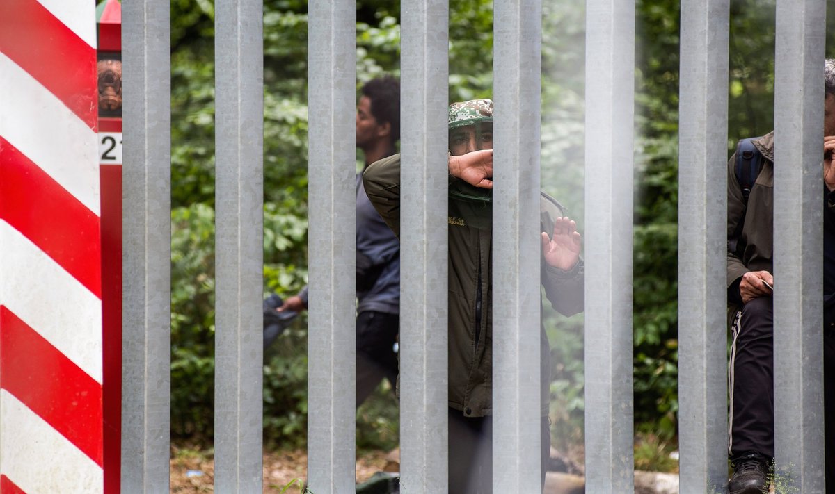 Migrantai veržiasi į Lenkiją