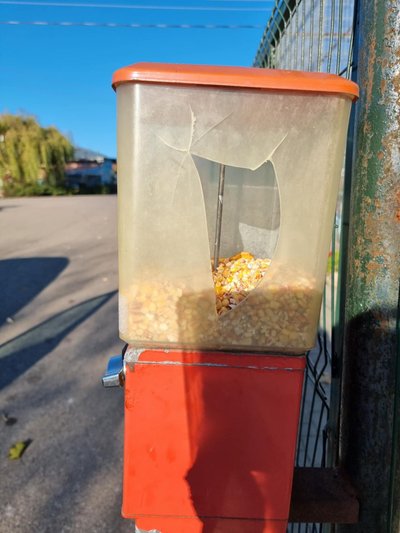 Kalvarijos zoologijos sodas