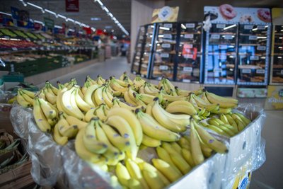 Visiems „Lidl“ vaisių ir daržovių augintojams tiek Lietuvoje, tiek kitose šalyse yra taikomi itin aukšti reikalavimai.