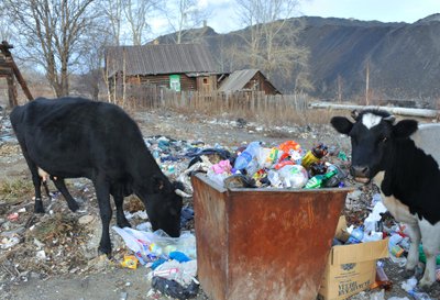 Karabašas vadinamas ekologinės nelaimės zona