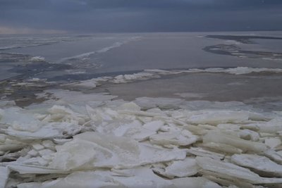 Kuršių marios