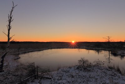 Aukštumalos pelkė žiemą