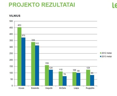 Projekto rezultatai