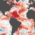 Meteorologai: tai antras toks spalis per visą stebėjimų istoriją 