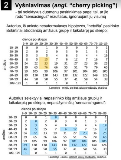 Iliustracija Nr. 2