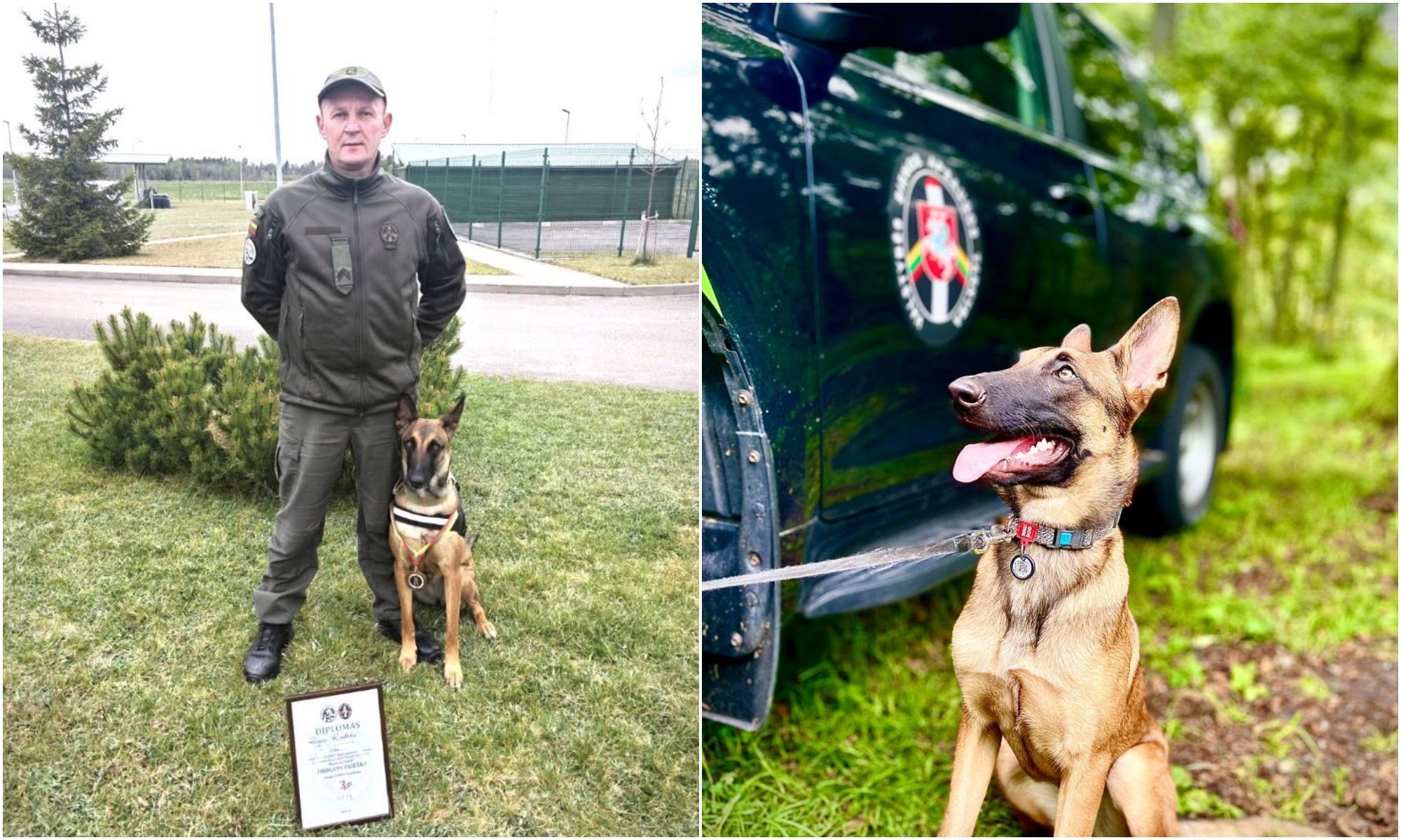 Belgian Shepherd Moka Excels in Migrant Apprehension Mission in Latvia