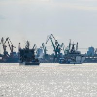 Skirtingos muitams jautrių verslo sektorių nuotaikos: Baltijos šalyse labiausiai nerimauja lietuviai