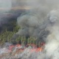 Государственное лесничество: в этом году в стране зарегистрировано 25 лесных пожаров