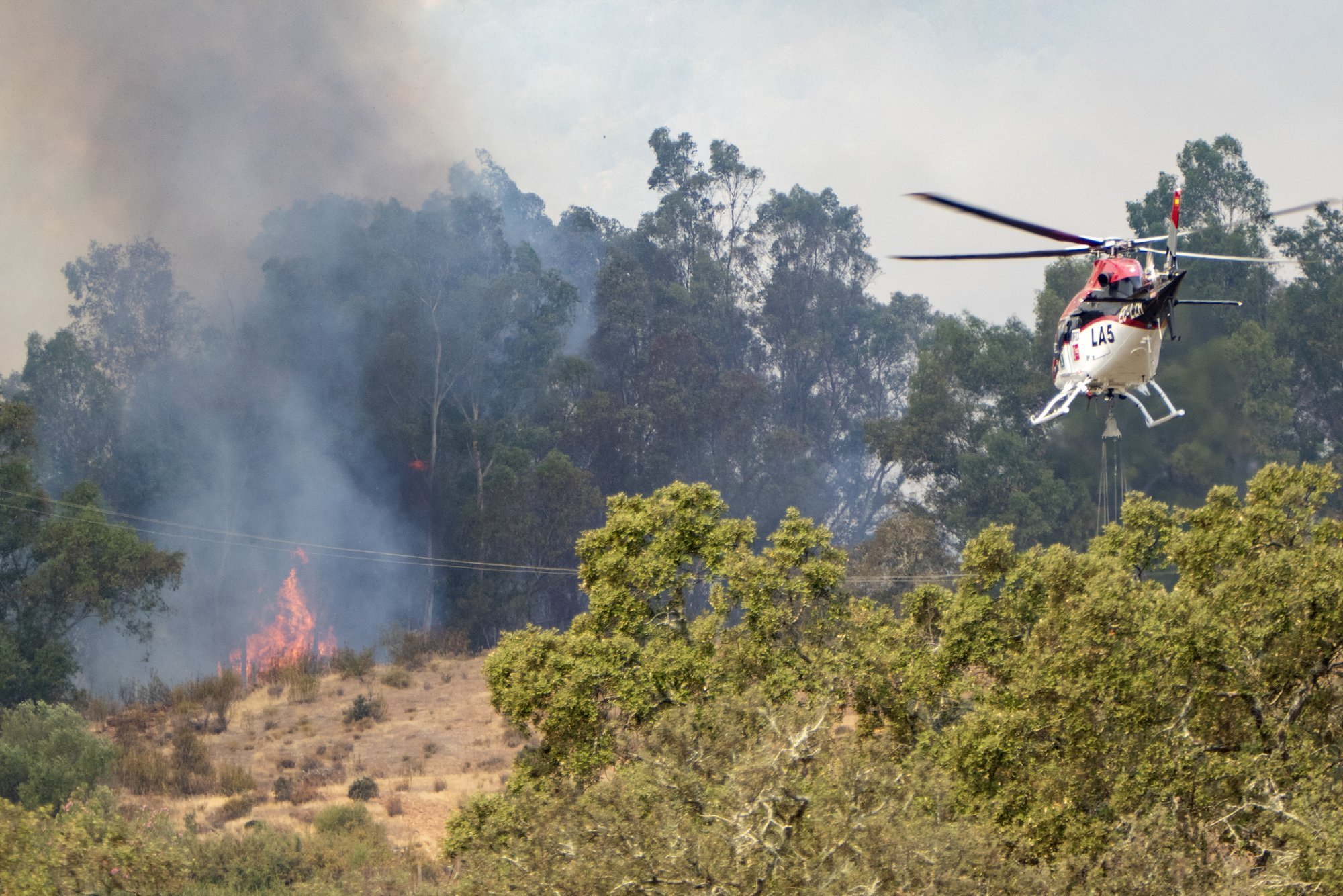 Madrid Wildfire Burns 32,000 Hectares, Second Largest on Record