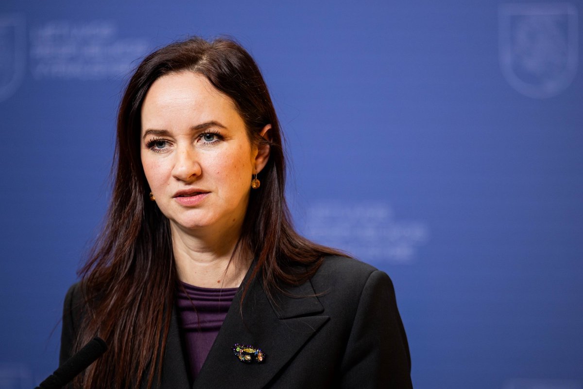 Henrika Rugine Registrų centro incidentas: Ruginienė tokioje situacijoje dar nebuvo ...