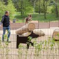 Vingio parke atidaryta didžiulė šunų vedžiojimo aikštelė
