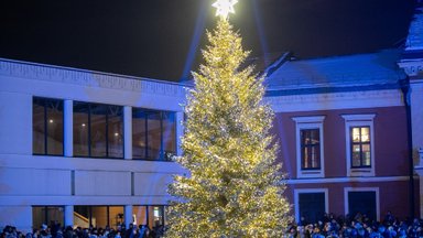 Klaipėdoje skelbiama kalėdinės eglės paieška