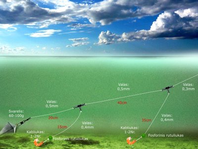 Schema. Plekšnių žūklė Baltijos jūroje