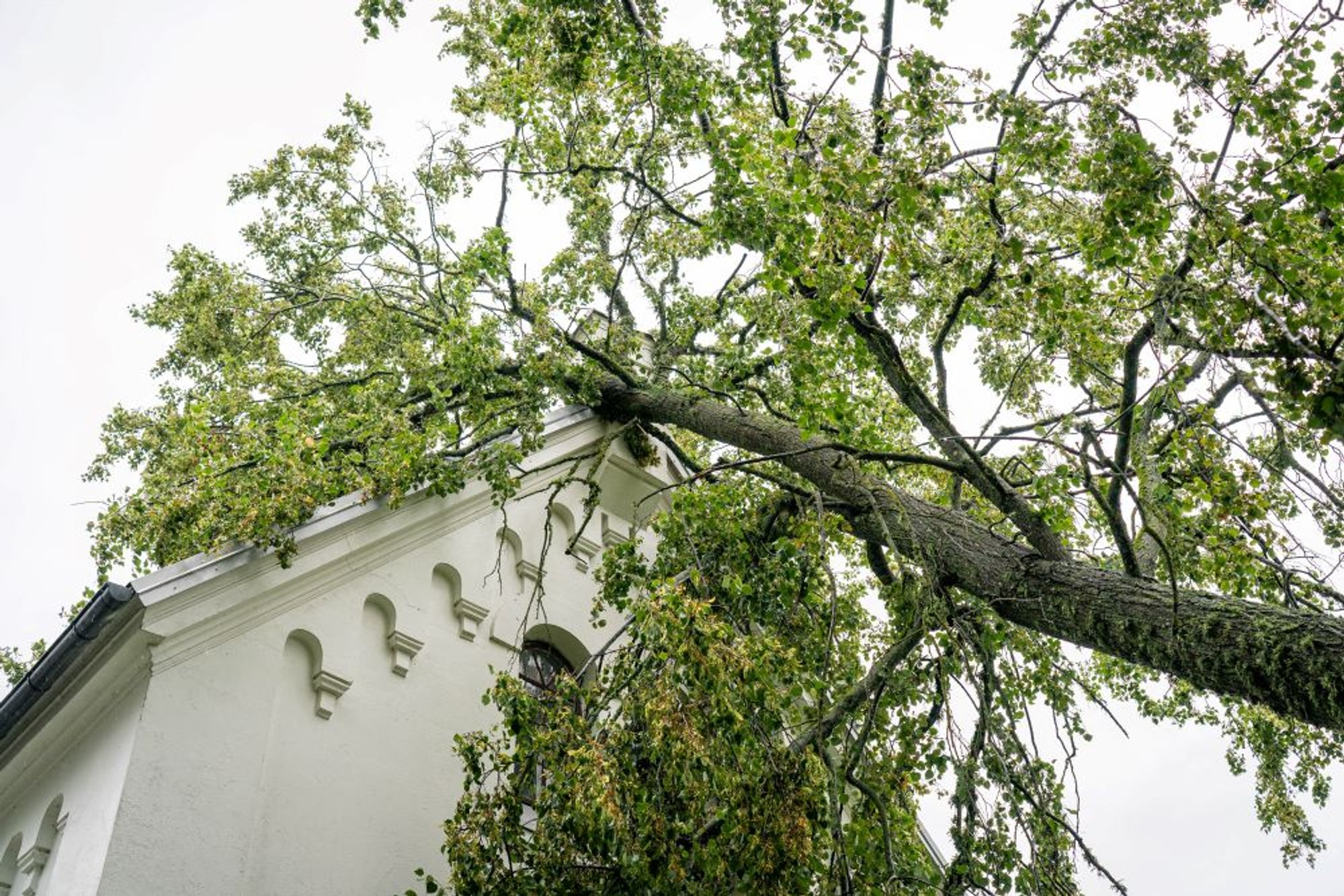 Thousands in Panevėžys District Still Without Power Days After Devastating Storm