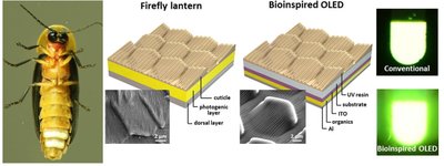 60 proc. šviesesnių OLED technologija. Kim ir kt. nuotr.