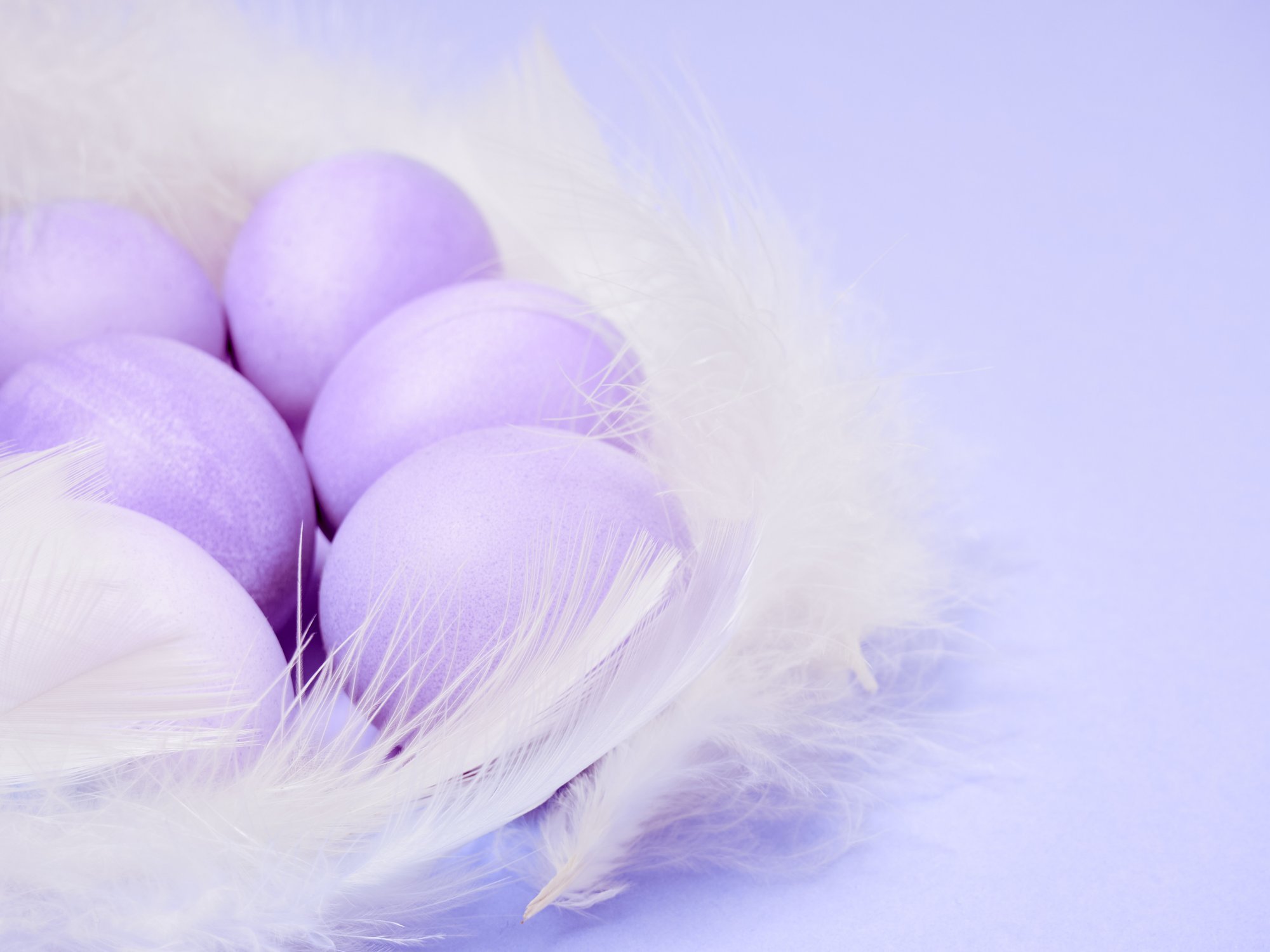 Nuostabaus grožio alyviniai margučiai: dažymui prireiks vieno augalo