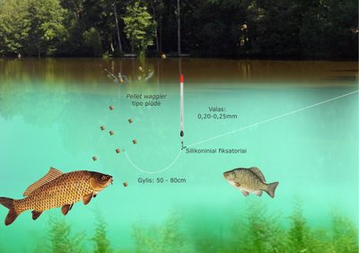 Žvejyba su pellet wagler. Schema