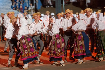 Gaudeamus (Lietuvos nacionalinio kultūros centro nuotr.)