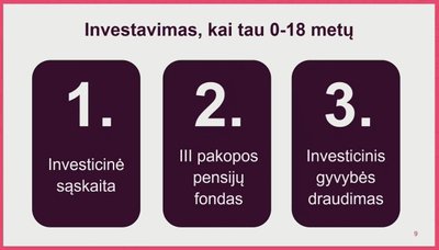 „100 metų investavimo strategija“: schema