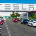 СМИ: Tesla в Литве открывает компанию