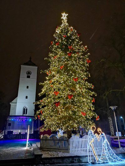 Kelmės eglės įžiebimas, nuotraukos Vaidos Sutkienės