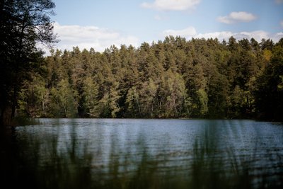 Ar galiu užeiti? Gulbinų poilsiavietė