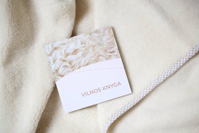 Vilnos knyga