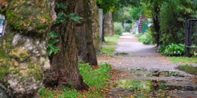 Ąžuolyno parkas (Kauno turizmo informacijos centro ir konferencijų biuro nuotr.)