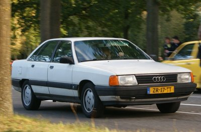 "Audi 100" – Silkė. Niels de Wit/Flickr nuotr.