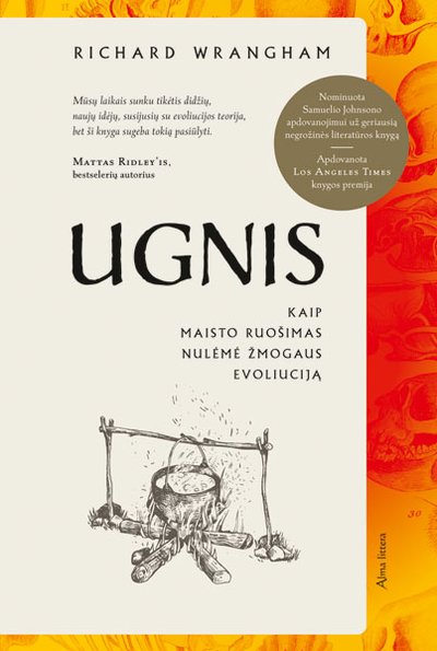 Ugnis