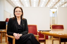 Delfi interviu. Saulius Skvernelis – apie koaliciją, mokesčius ir valstybės priešus