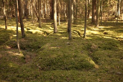 Jaskoniškių pažintinis takas