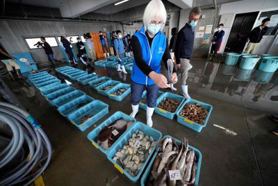 JT mokslininkai tikrino žuvies turgų Japonijoje, esantį netoli Fukušimos branduolinės jėgainės. Scanpix/VidaPress nuotr.