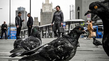 Беспилотники атаковали Московскую область