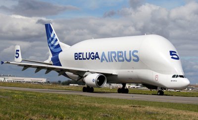 Beluga Airbus