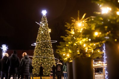 Molėtų eglutės įžiebimas. Nuotraukos Molėtų turizmo ir verslo informacijos centras ir Žygimantas Gedvila