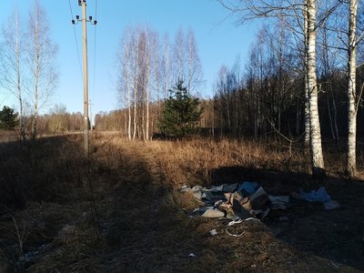 Pavilnių regioniniame parke surinktos atliekos