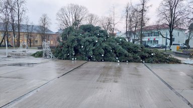 Dėl stipraus vėjo nuvirto Raseinių Kalėdų eglė