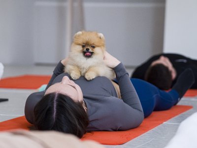 „Gera dovana“ pramogos