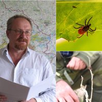 Erkės keičia žaidimo taisykles: profesorius papasakojo tai, ko daugelis nežino