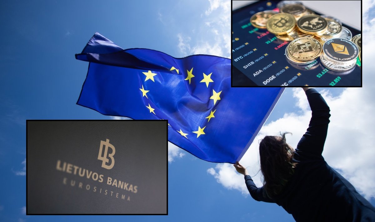 Europoje žiurkių lenktynės dėl kripto įmonių – kaip sekasi Lietuvai - Delfi  verslo požiūris x Karjera