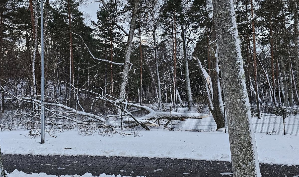 Palangoje – paplautos kopos, kai kurie gyventojai liko be šildymo