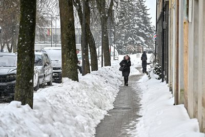 Sniegas Panevėžyje