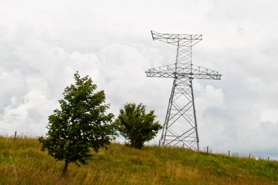 Elektors linija šalia medžių