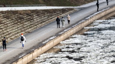 Tyrimas parodė liūdną vaizdą: suaugusių gebėjimų rezultatai pablogėjo