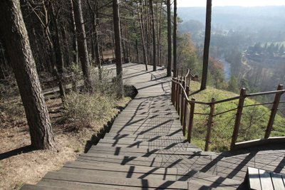 Pūčkoriai opening