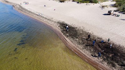 Paplūdimių švarinimo ir švietėjiška iniciatyva „My Sea Campaign“.