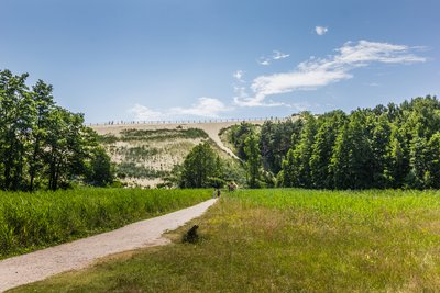 Kuršių nerijos miškai