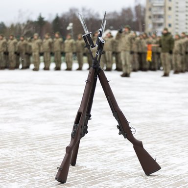 Bendra Baltijos šalių kariuomenių divizija – įmanoma, bet nereikalinga
