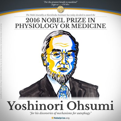 Yoshinori Ohsumi